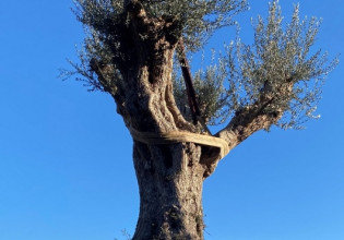 300 χρόνια ιστορίας έξω από το Δημαρχείο Παπάγου – Χολαργού