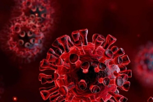 Σαρηγιάννης: Δεν έχουμε επαρκή στοιχεία για την Όμικρον 2