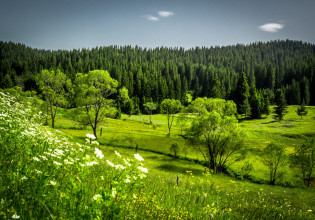 Δίκτυο μικροφώνων παρακολουθεί τους κυνηγούς στα δάση της Ροδόπης και του Εύρου