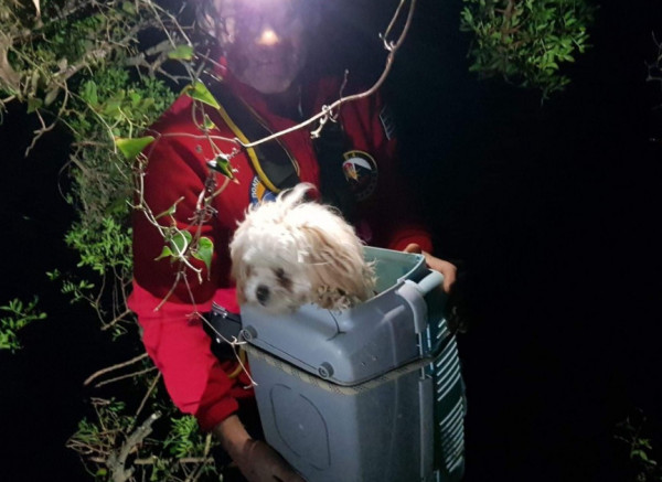 Κέρκυρα: Διέσωσαν σκύλο από γκρεμό 30 μέτρων