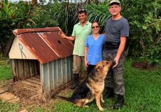 Σε δημοπρασία από τον οίκο Christie’s σπιτάκι σκύλου που χτυπήθηκε από μετεωρίτη