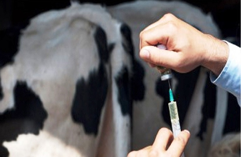 ΕΕ: Υπολείμματα κτηνιατρικών φαρμάκων στα τρόφιμα – Τι έδειξε έρευνα