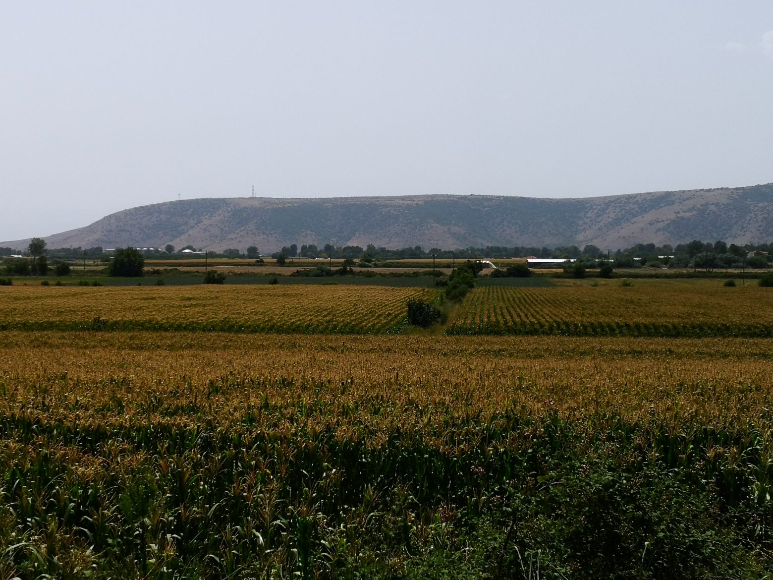 Θεσσαλία: Η ερημοποίηση εδαφών απειλεί τον κάμπο - Τι αναφέρει νέα έρευνα
