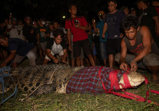 Κροκόδειλος πέρασε πέντε χρόνια σφηνωμένος σε λάστιχο μοτισικλέτας