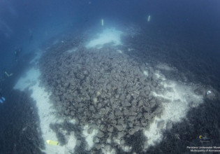 Αυτοδύτης ο Δήμαρχος Αλοννήσου για να τελεί γάμους στο βυθό