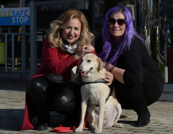 Νέα Σμύρνη: Η σκυλίτσα Διώνη παραδίδει μαθήματα ζωής