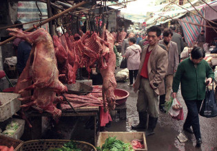 Πανδημία: Η ΕΕ πιέζει να απαγορευτούν οι αγορές άγριων ζώων
