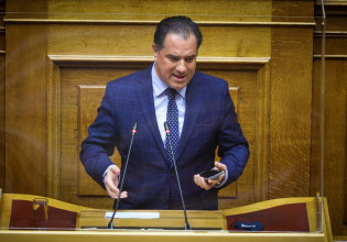 Άδωνις Γεωργιάδης: Η δημόσια συγγνώμη του υπουργού Ανάπτυξης