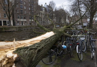 Ολλανδία: Τρεις νεκροί από πτώσεις δέντρων εξαιτίας της σφοδρής καταιγίδας «Γιούνις»