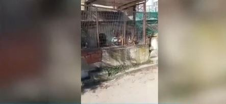 Θεσσαλονίκη: Γονείς καταγγέλλουν άθλιες συνθήκες σε ειδικό σχολείο που συστεγάζεται με εργοστάσιο