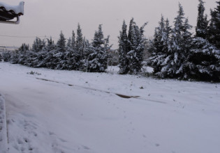 Κακοκαιρία «Bianca»: Το χιόνι άφησε χωρίς ρεύμα περιοχές σε Φλώρινα και Καστοριά