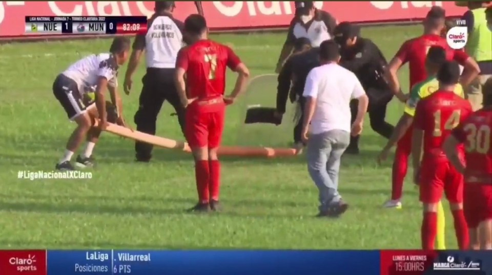 Απίστευτο: Φίδι εισέβαλε σε γήπεδο στη Γουατεμάλα και διέκοψε αγώνα (vid)