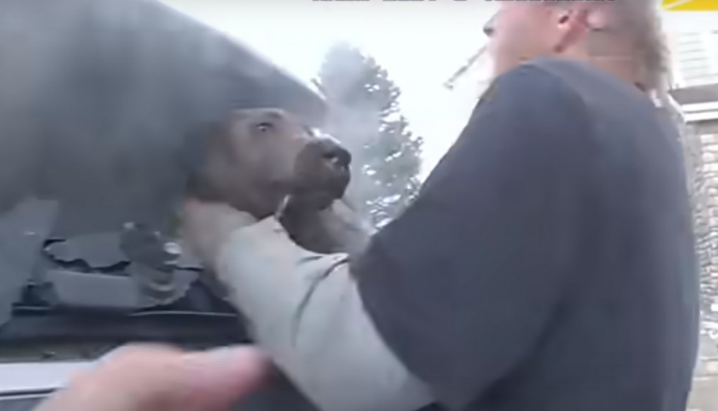 ΗΠΑ: Σερίφης διέσωσε σκύλο από φλεγόμενο αυτοκίνητο
