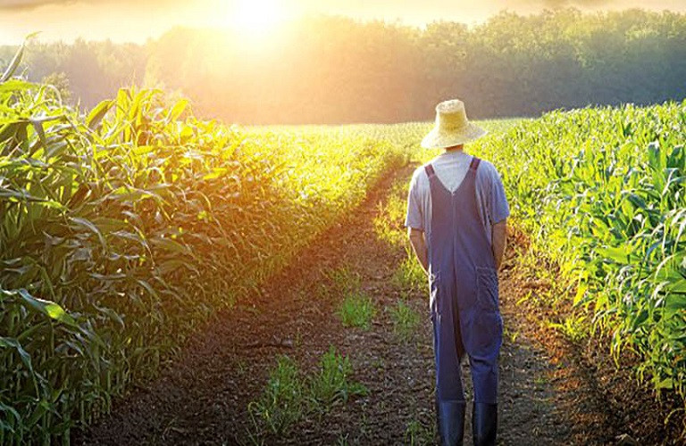 Νέα μέτρα στήριξης των αγροτών ύψους 170 εκατ. ευρώ