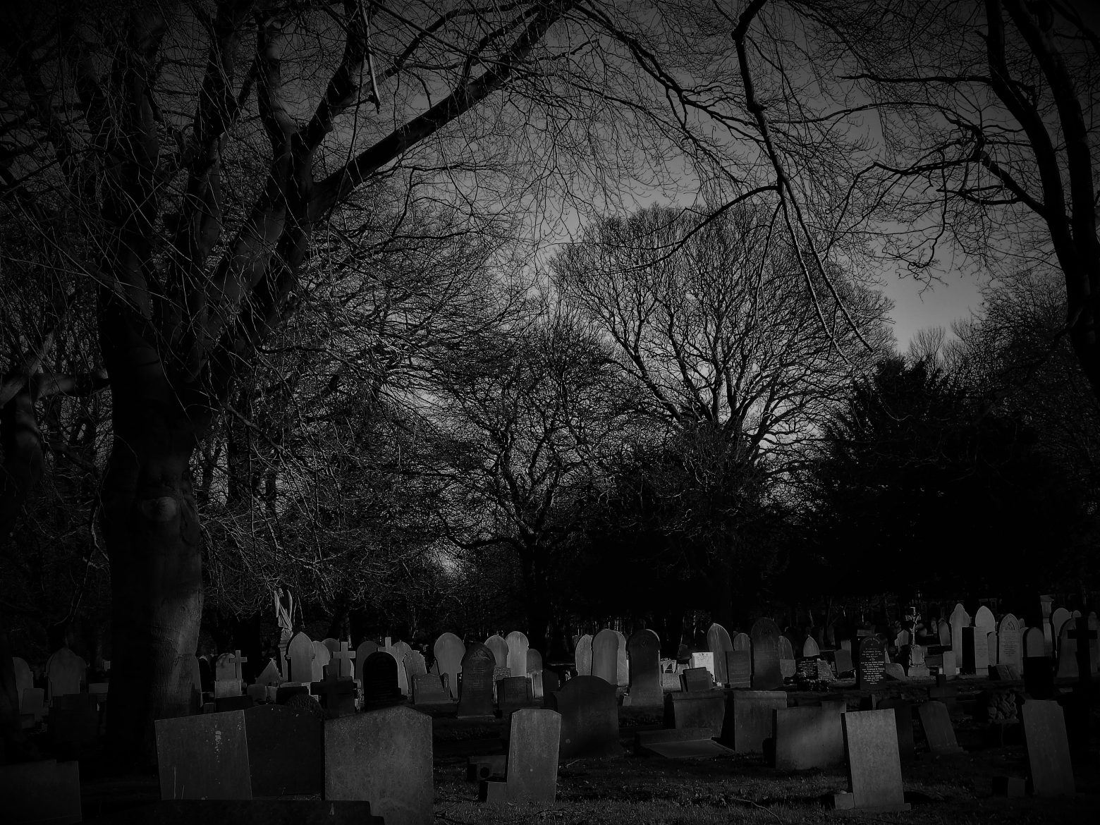 Αυστραλία: Βεβήλωσαν τάφους και έκλεψαν δυο κρανία