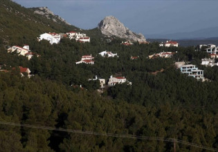 Δασικά αυθαίρετα: Πότε θα ανοίξει η πλατφόρμα για τη δήλωσή τους