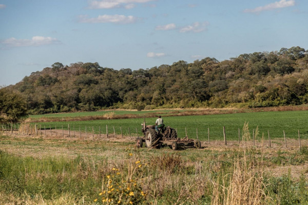 Πόλεμος στην Ουκρανία: Απειλή και για επισιτιστική κρίση