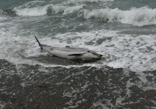 Μυτιλήνη: Νεκρό δελφίνι στην παραλία της Νυφίδας – Πάλευε μόνο του για να σωθεί