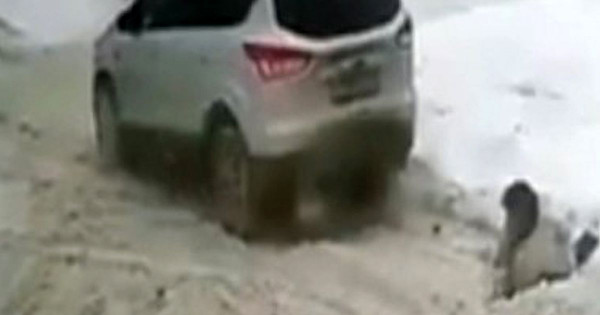 Ρωσία: Δεν την είδε γιατί φορούσε λευκό παλτό και χιόνιζε και την παρέσυρε 2 φορές με το αυτοκίνητο του