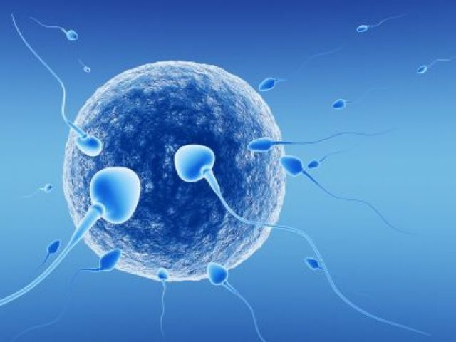 Εμβόλια mRNA και εξωσωματική γονιμοποίηση - Τι έδειξε νέα μελέτη
