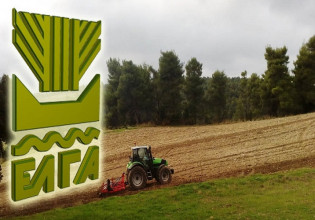 ΕΛΓΑ: Πληρωμή αποζημιώσεων ύψους 68 εκατ. ευρώ – Ποιους αφορά