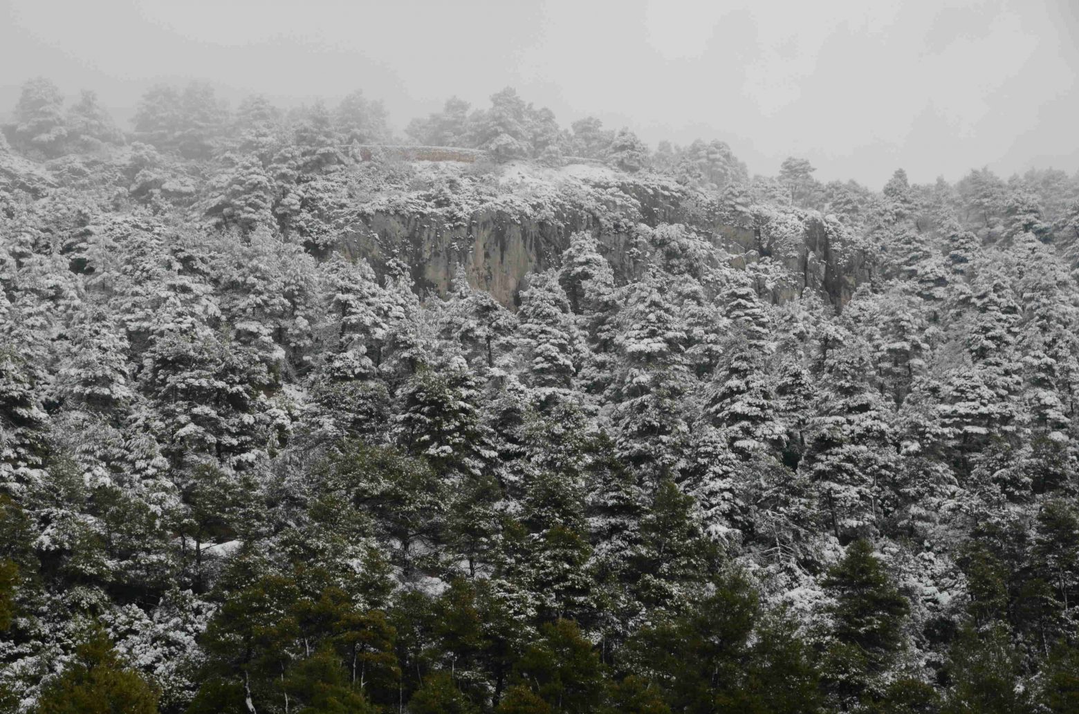 Κακοκαιρία: Χιονίζει σε Μαλακάσα και Ιπποκράτειο Πολιτεία - Τι θα γίνει τις επόμενες ώρες