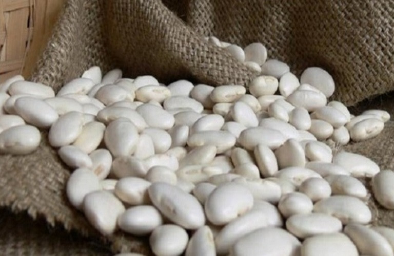 Φασόλια: Τα καλλιεργητικά χαρακτηριστικά των ελληνικών ποικιλιών – Οι στρεμματικές αποδόσεις