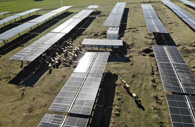 Πώς θα κερδίσουν από την ηλιακή ενέργεια οι αγρότες της Ηλείας