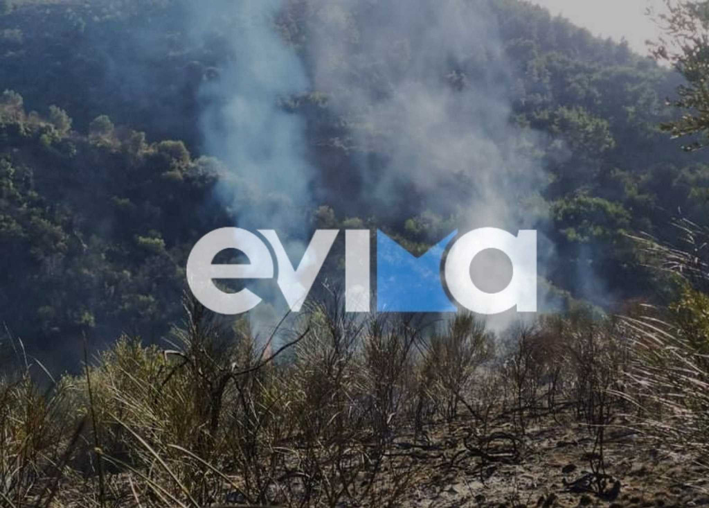 Εύβοια: Φωτιά καίει δασική έκταση στο Μίστρο