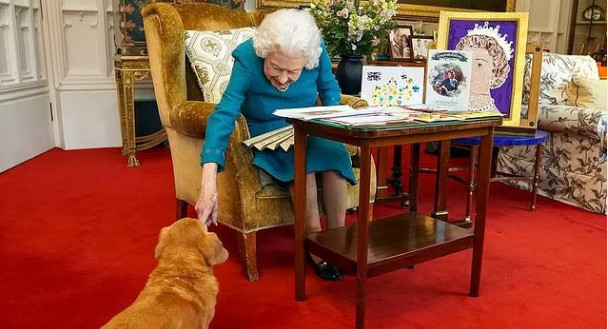 Βασίλισσα Ελισάβετ: Λανσάρει άρωμα για «βασιλικούς» σκύλους