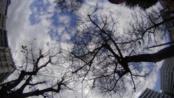 Καιρός: Αίθριος με μικρή αύξηση της θερμοκρασίας