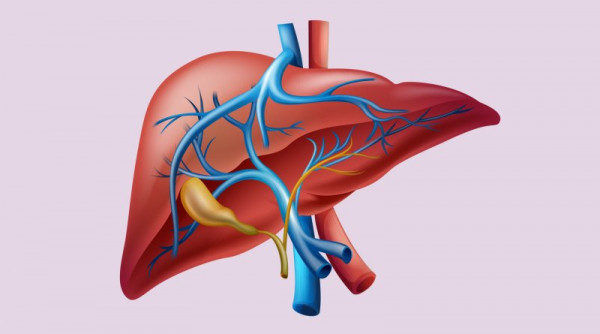 Σπάνιες παθήσεις του ήπατος: Υπάρχουν αποτελεσματικές θεραπείες