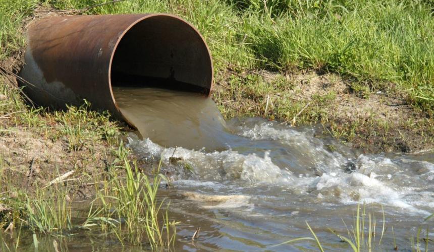 Αυστραλία: Παίρνει 1.200 ευρώ την ημέρα κάνοντας αυτή την δουλειά