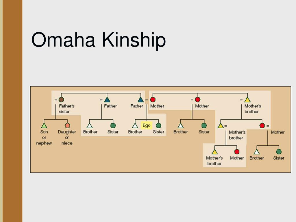 Η ελληνική γλώσσα στο διάβα του χρόνου – Ο υλικός και πνευματικός πολιτισμός των Ινδοευρωπαίων (Μέρος ΣΤ’)