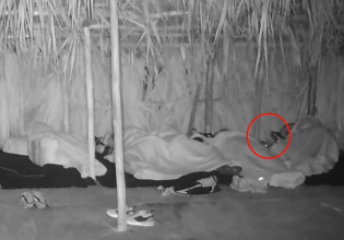 Survivor: Πανικός στην παραλία των Διάσημων – Ποντίκι έπεσε πάνω στον Απόστολο Ρουβά