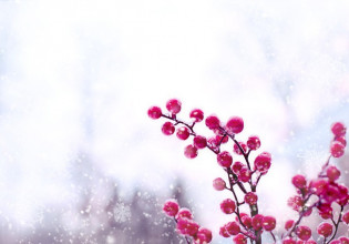 Καιρός: Τα δύο ακραία «πρόσωπα» του Ιανουαρίου – Οι απότομες μεταβολές της θερμοκρασίας