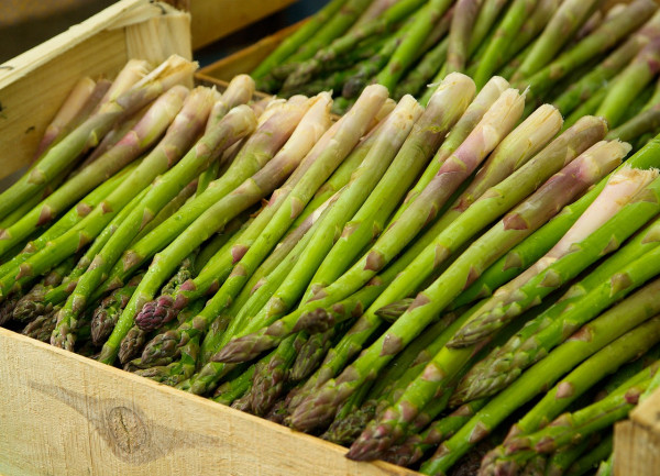 Asparagus: The first batches arrived in the Munich market