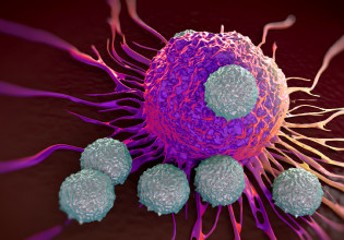 Όμικρον: Τα Τ κύτταρα «καλά κρατούν» μετά τον εμβολιασμό ακόμη και αν τα αντισώματα είναι χαμηλά