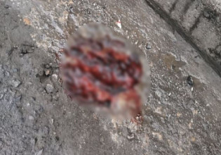 Δολοφονία 19χρονου στη Θεσσαλονίκη: Μία σύλληψη από την ΕΛ.ΑΣ.