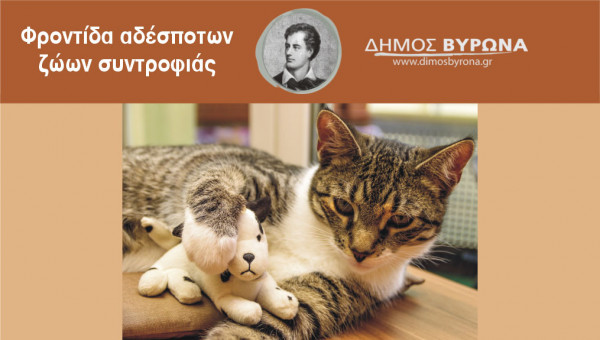 Αφαιρέθηκαν 19 γάτες από σπίτι στο Βύρωνα