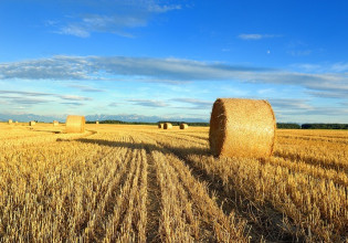 ΕΕ: Έρχονται νέες συμφωνίες βιωσιμότητας στην γεωργία