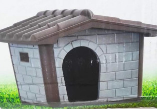 Πέραμα: Υπάρχει μέριμνα για τα αδέσποτα