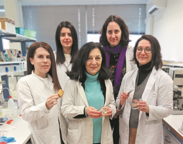 Μπισκότα από σκουλήκια φτιάχνει το Αριστοτέλειο Πανεπιστήμιο