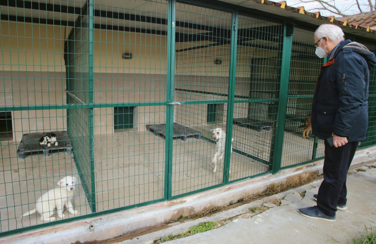 Λάρισα: Οι σκύλοι σε καλά χέρια