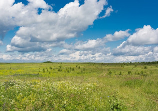 Βόρεια Εύβοια: Η διαδικασία πληρωμής των πυρόπληκτων αγροτικών εκμεταλλεύσεων