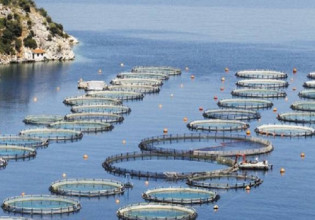 New regulations for aquaculture in Greece