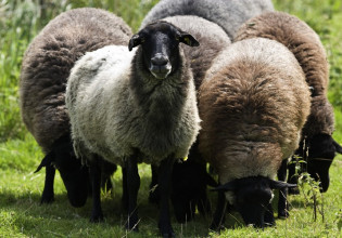 Αυτόχθονες φυλές: Έρχονται πληρωμές 2,8 εκατ. ευρώ