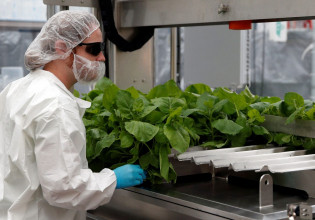 Κοροναϊός: Το πρώτο «φυτικό» εμβόλιο θύμα της σχέσης του με την καπνοβιομηχανία