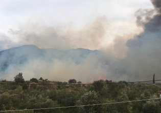 Μεσσηνία: Φωτιές σε Ασπροπουλιά και Πεταλίδι – Ισχυροί άνεμοι στην περιοχή