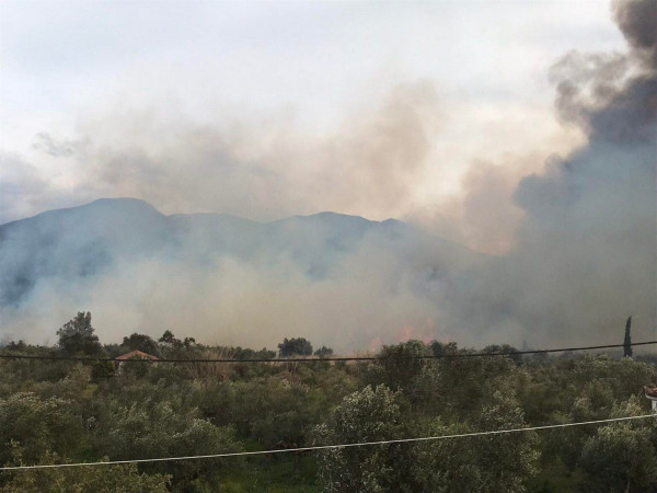 Μεσσηνία: Φωτιές σε Ασπροπουλιά και Πεταλίδι – Ισχυροί άνεμοι στην περιοχή